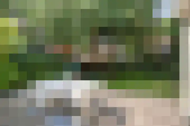Heksenkruidlaan 6 Eindhoven thumbnail 32