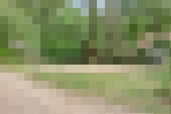 Heksenkruidlaan 6 Eindhoven thumbnail 36