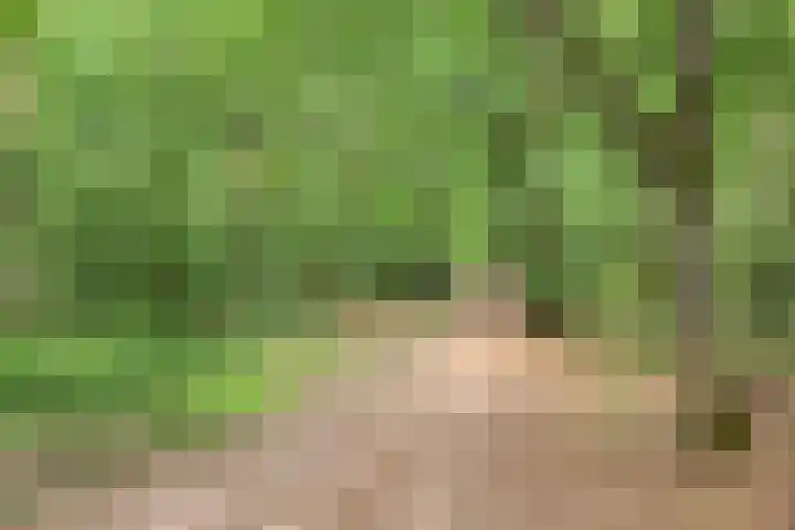 Heksenkruidlaan 6 Eindhoven thumbnail 37
