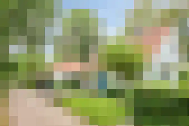 Heksenkruidlaan 6 Eindhoven thumbnail 6