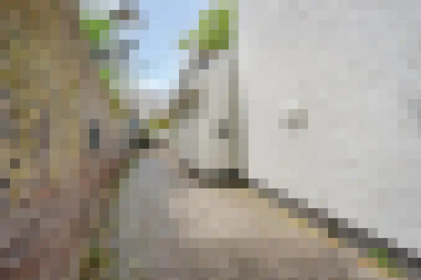 Heksenstraat 1 Maastricht thumbnail 6