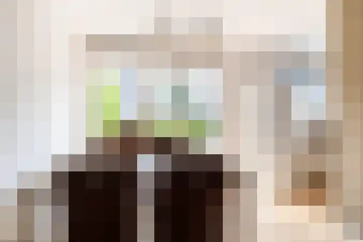 Heksenwiellaan 100 Breda thumbnail 10