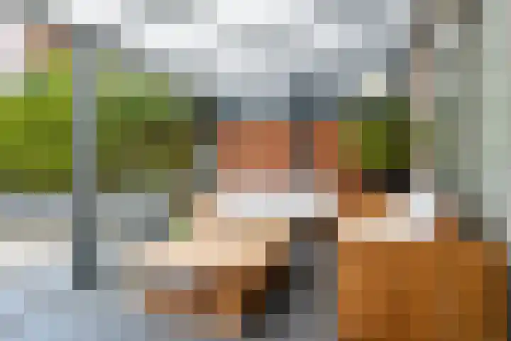 Heksenwiellaan 100 Breda thumbnail 13
