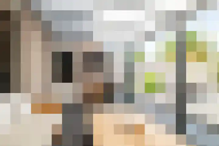Heksenwiellaan 100 Breda thumbnail 14