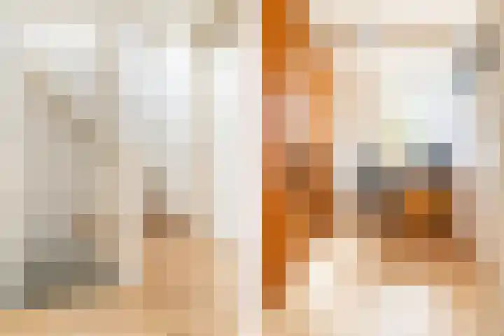 Heksenwiellaan 100 Breda thumbnail 17