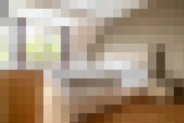 Heksenwiellaan 100 Breda thumbnail 18