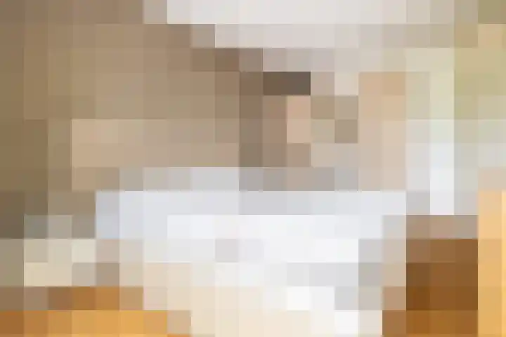 Heksenwiellaan 100 Breda thumbnail 19