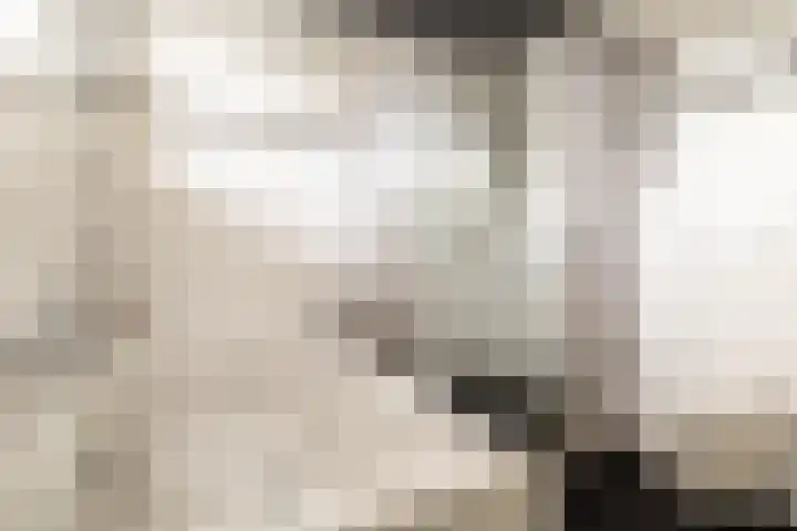 Heksenwiellaan 100 Breda thumbnail 24