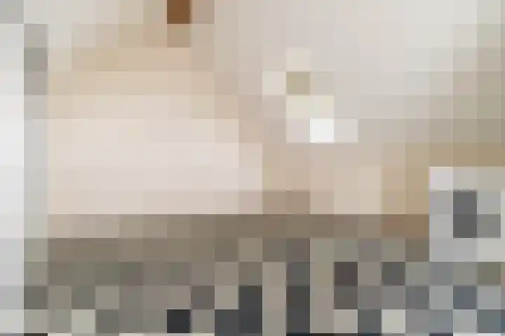 Heksenwiellaan 100 Breda thumbnail 26