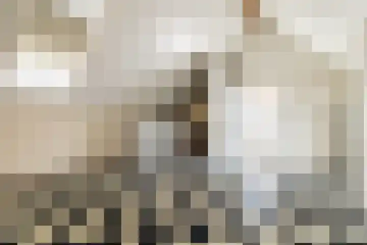 Heksenwiellaan 100 Breda thumbnail 27