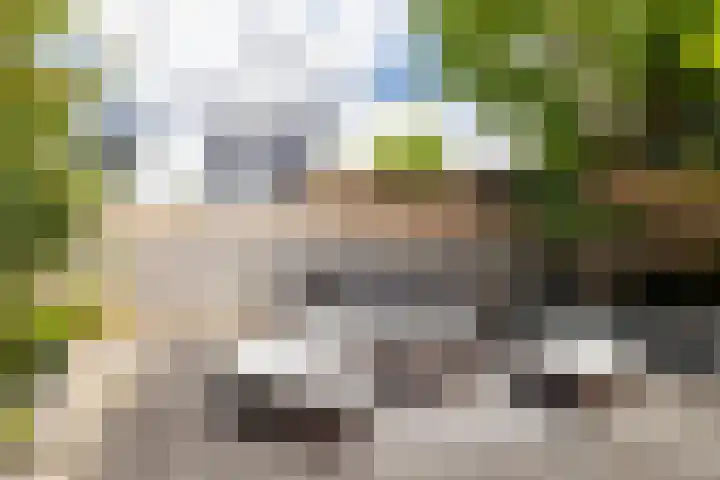 Heksenwiellaan 100 Breda thumbnail 30
