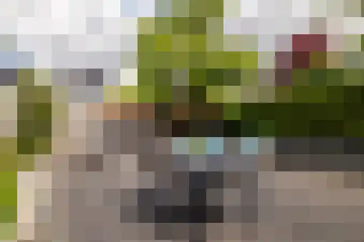 Heksenwiellaan 100 Breda thumbnail 31