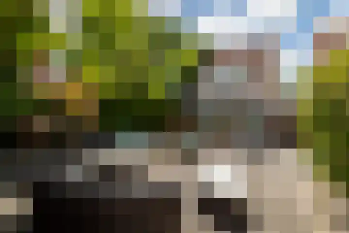 Heksenwiellaan 100 Breda thumbnail 32