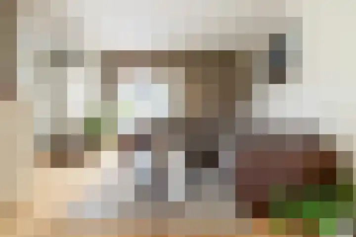 Heksenwiellaan 100 Breda thumbnail 4