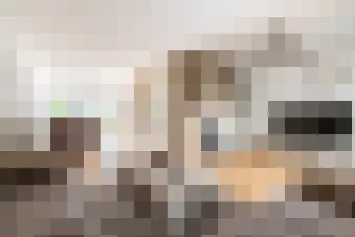 Heksenwiellaan 100 Breda thumbnail 5