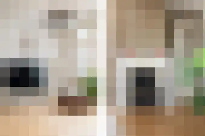 Heksenwiellaan 100 Breda thumbnail 7