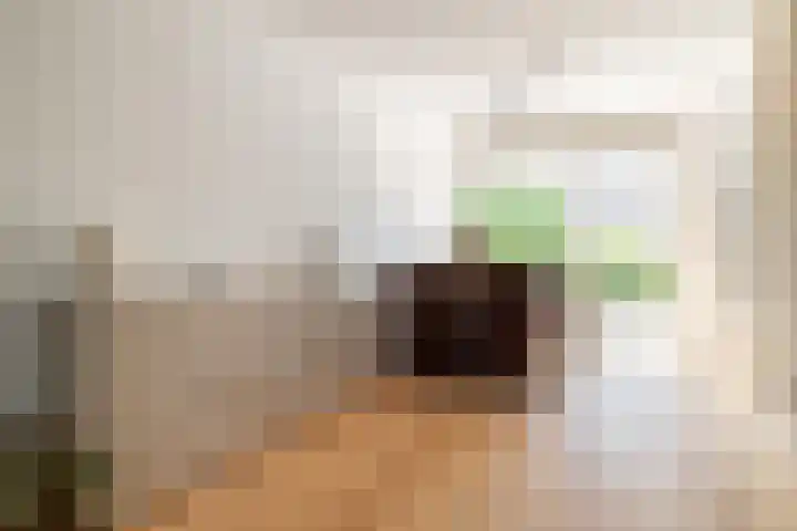 Heksenwiellaan 100 Breda thumbnail 9