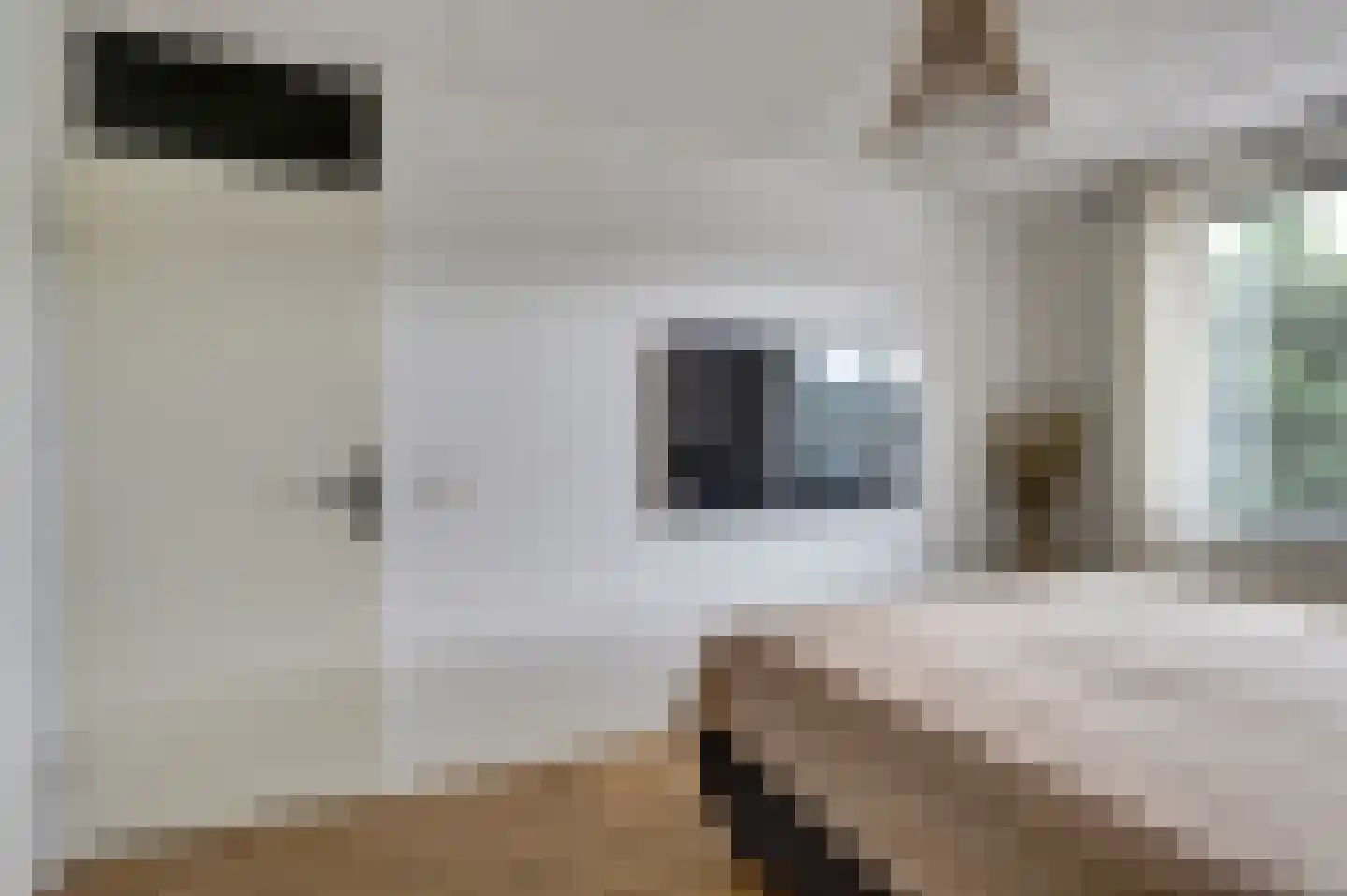 Heksenwiellaan 133 Breda thumbnail 25