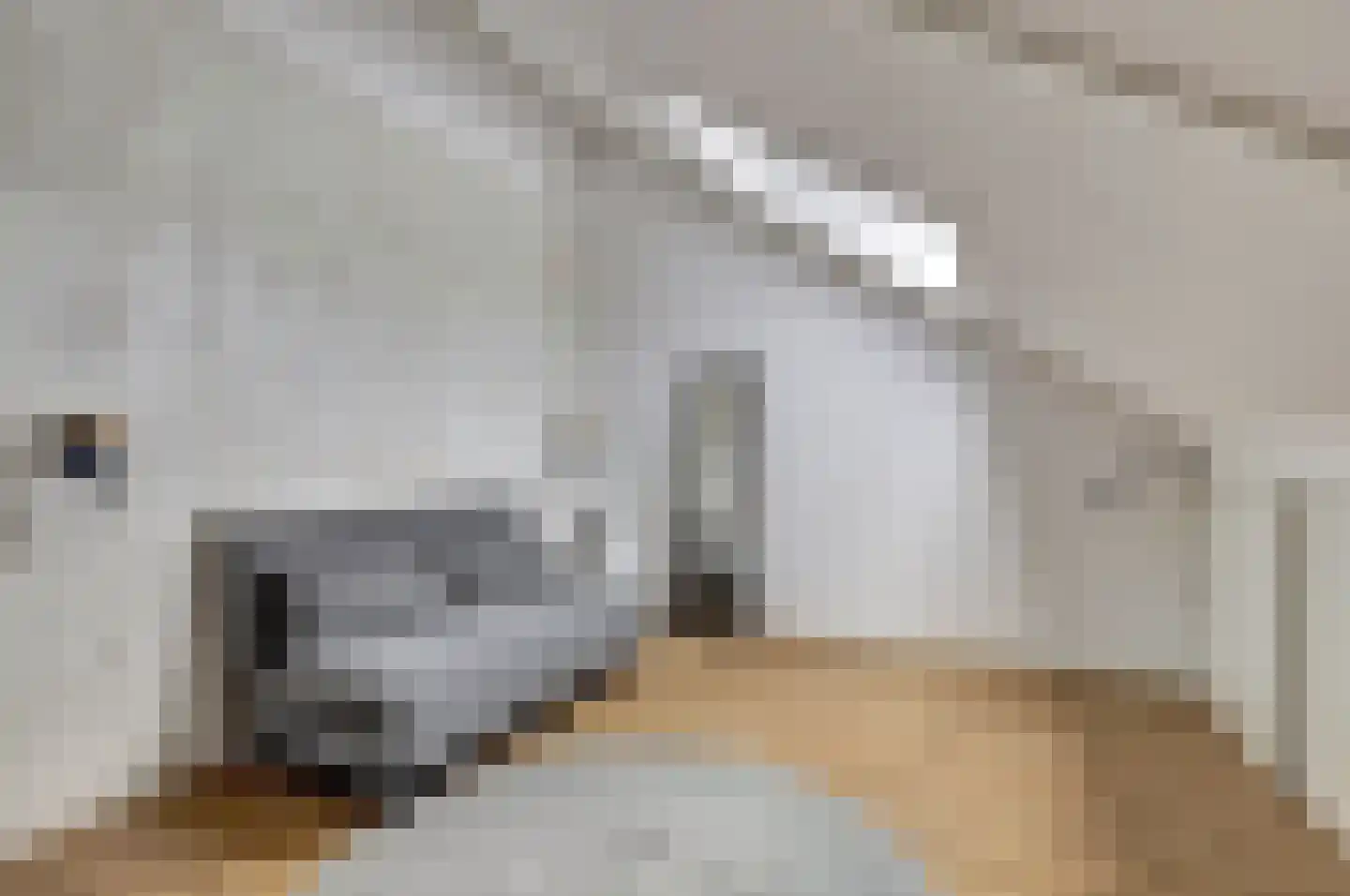 Heksenwiellaan 133 Breda thumbnail 36