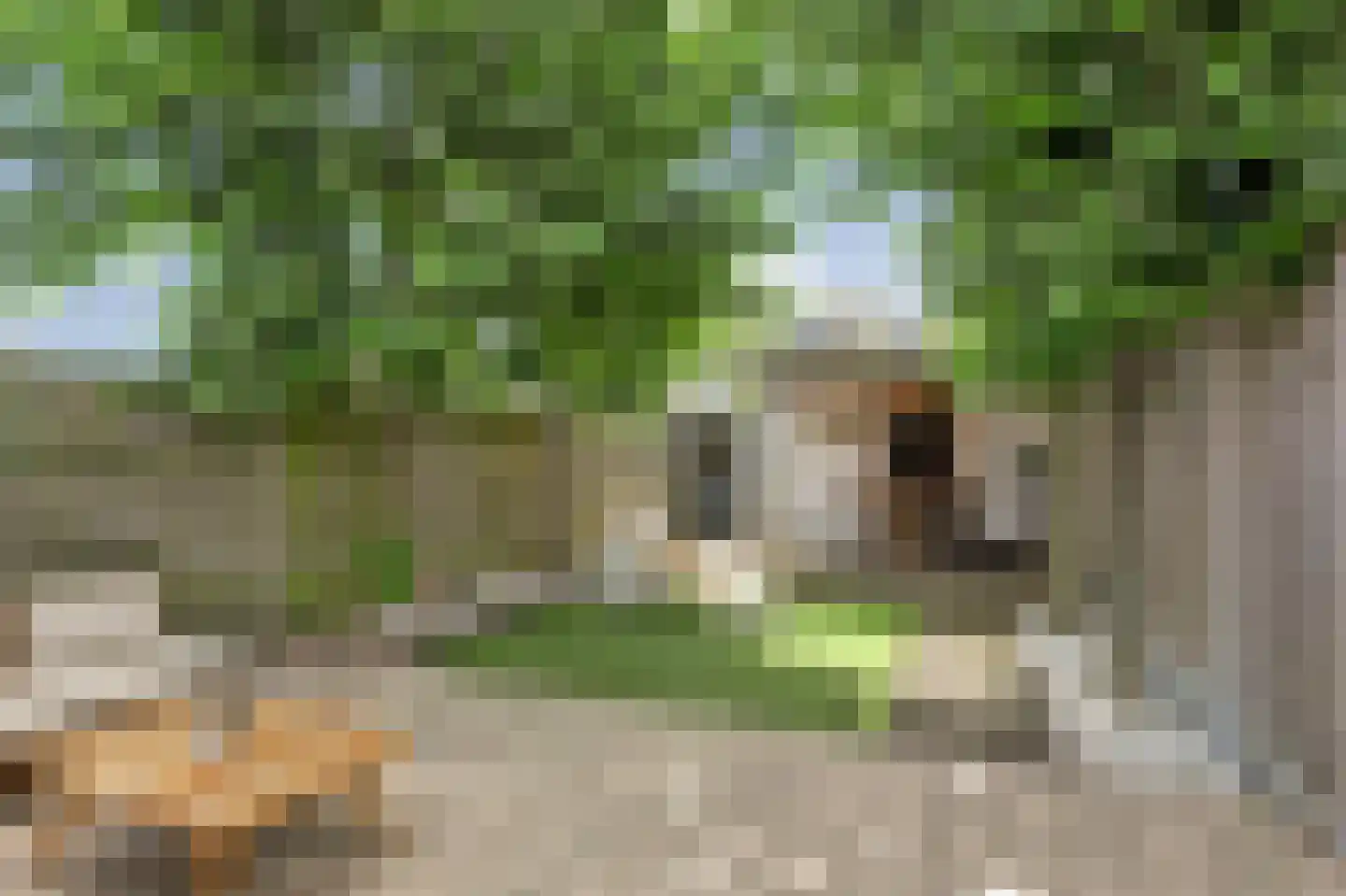 Heksenwiellaan 133 Breda thumbnail 40