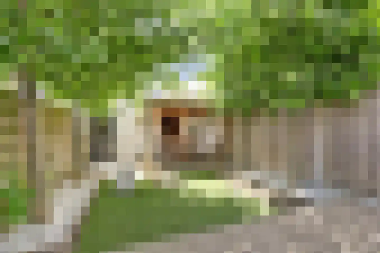 Heksenwiellaan 133 Breda thumbnail 41