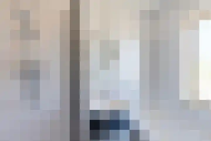 Heksenwiellaan 195 Breda thumbnail 16