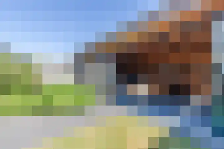 Heksenwiellaan 195 Breda thumbnail 28