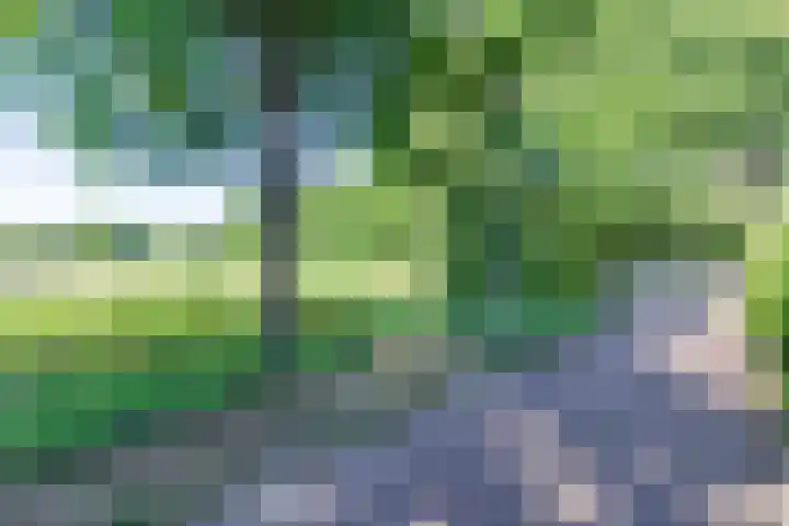 Heksenwiellaan 195 Breda thumbnail 32
