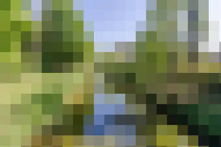 Heksenwiellaan 195 Breda thumbnail 33