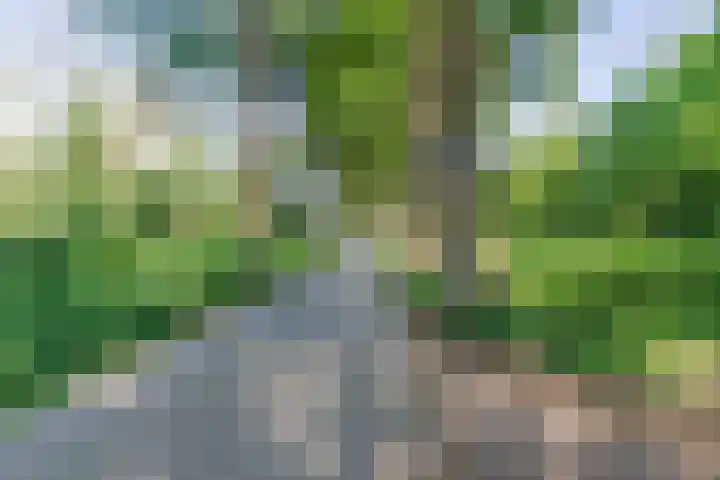 Heksenwiellaan 195 Breda thumbnail 34