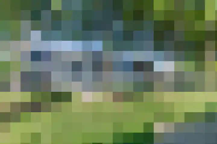 Heksenwiellaan 195 Breda thumbnail 35