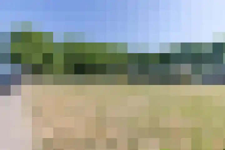 Heksenwiellaan 195 Breda thumbnail 36