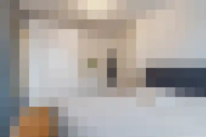 Heksenwiellaan 233 Breda thumbnail 17