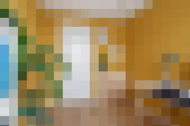 Heksenwiellaan 233 Breda thumbnail 21