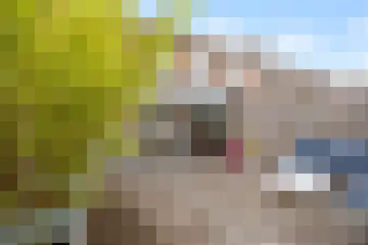 Heksenwiellaan 233 Breda thumbnail 29
