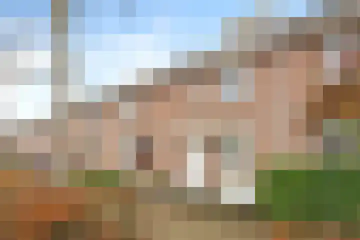 Heksenwiellaan 233 Breda thumbnail 32