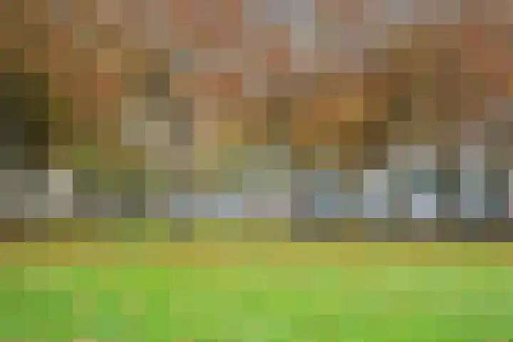 Heksenwiellaan 233 Breda thumbnail 35