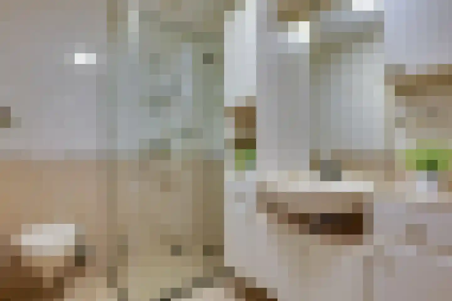 Hekstraat 1 nr4 Beilen thumbnail 18