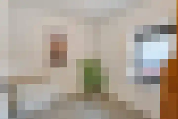Hekstraat 22 A Beilen thumbnail 21