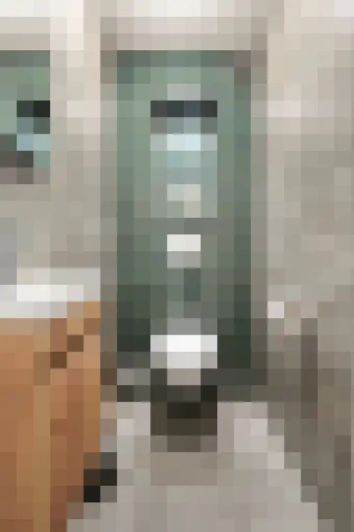 Hekstraat 22 A Beilen thumbnail 33