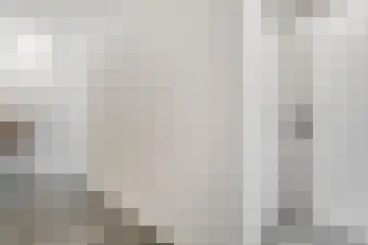 Hekstraat 22 A Beilen thumbnail 9