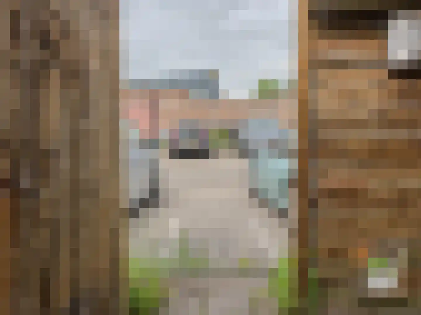Hekstraat 3 B Beilen thumbnail 30