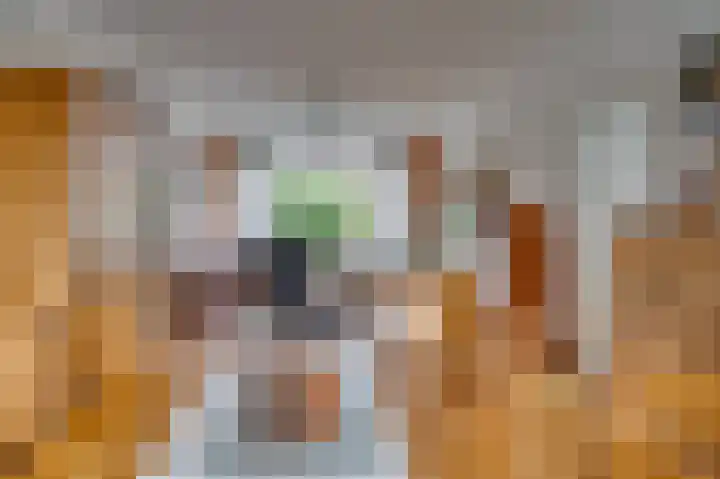 Helbeek 102 Venlo thumbnail 7