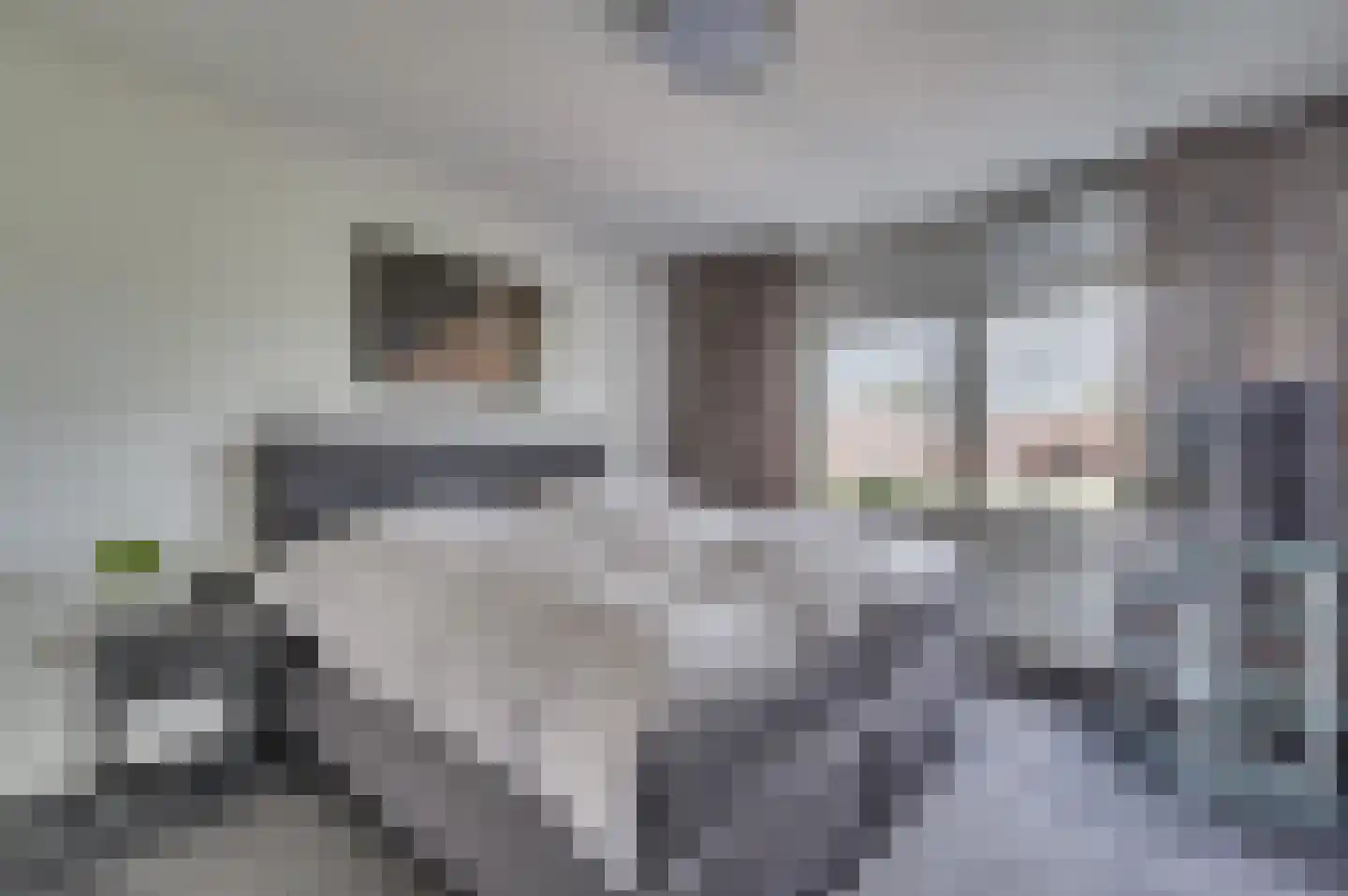 Helbeek 151 Venlo thumbnail 23