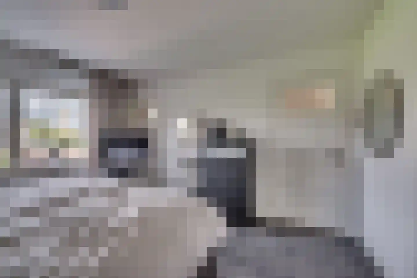 Helbeek 151 Venlo thumbnail 24