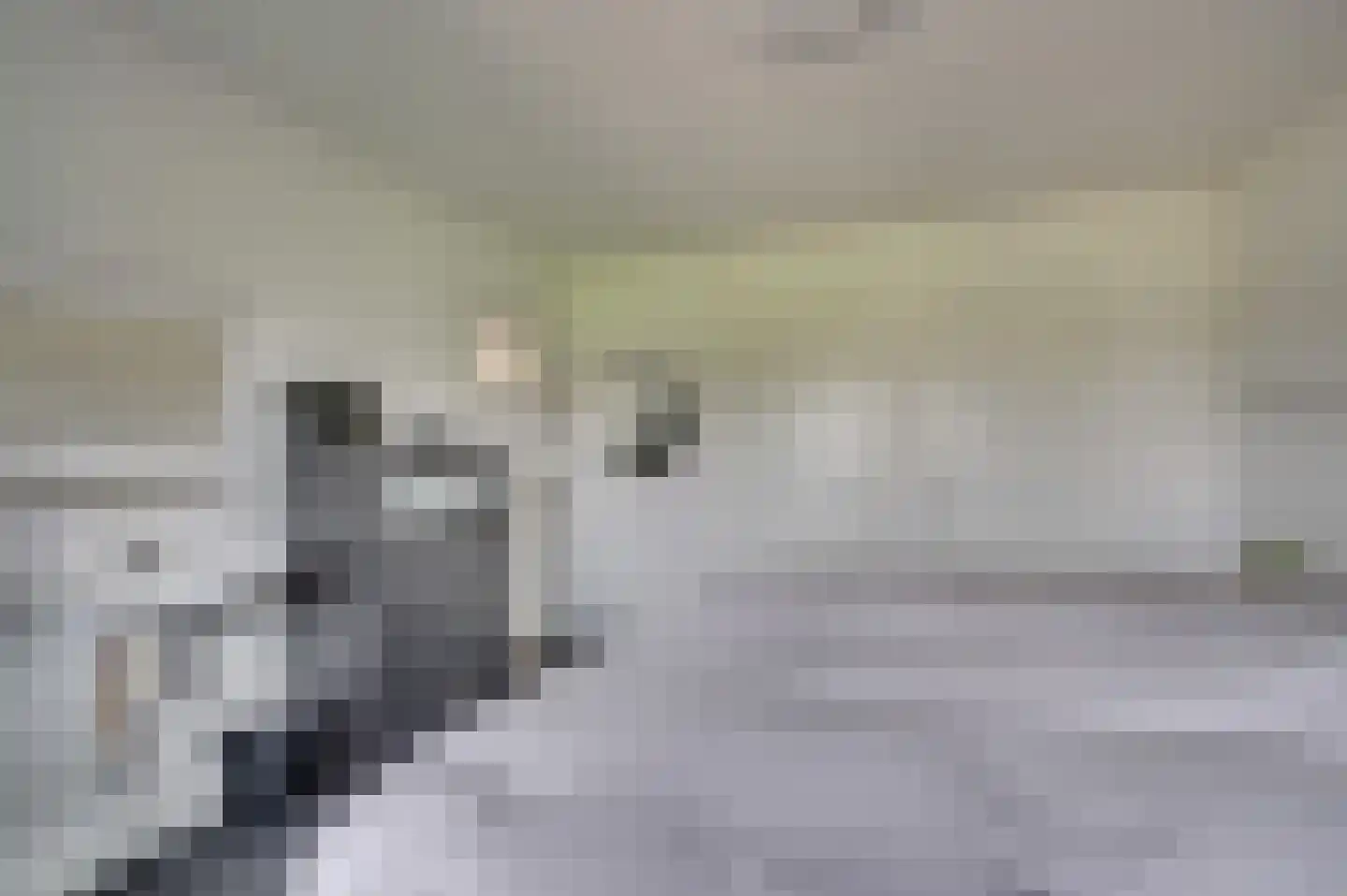 Helbeek 151 Venlo thumbnail 25
