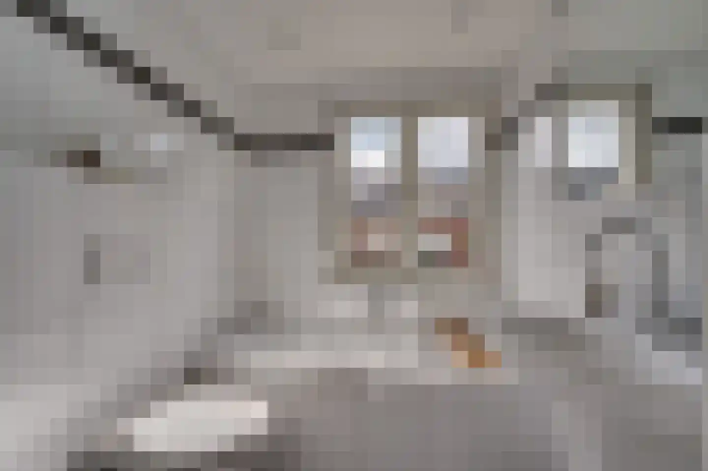 Helbeek 151 Venlo thumbnail 30