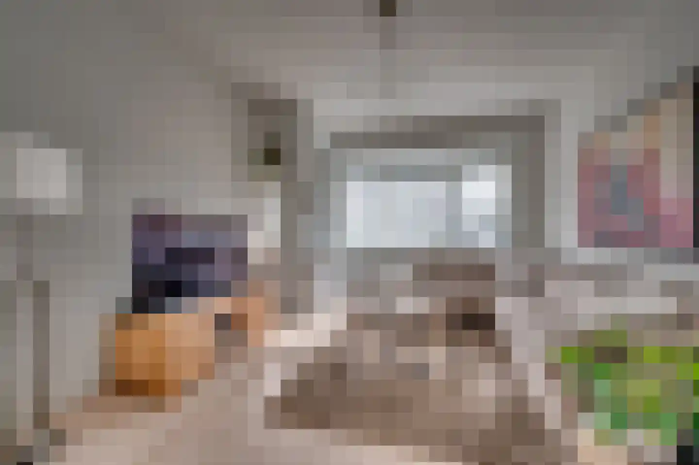 Helbeek 151 Venlo thumbnail 8