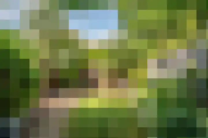 Helbeek 171 Venlo thumbnail 32