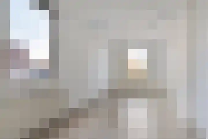 Helbeek 21 Venlo thumbnail 18